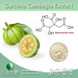 Garcinia Cambogia Extract