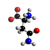 Asparagine