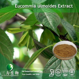 Eucommia leaves extract