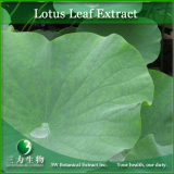 Lotus Leaf Extract