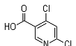 4,6-Dichloronicotinicacid