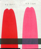 Pigment Red 8