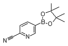 2-Cyanopyridine-5-boronicacidpinacolester