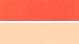 Fast Orange HL