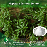 Huperzia Serrata Extract