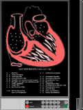 ELECTRONIC DEMO CHART