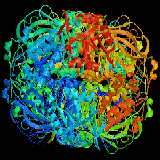 Catalase