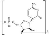 Polycytidysic Acid(Poly C)
