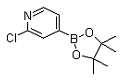 2-Chloropyridine-4-boronicacidpinacolester