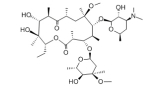 Clarithromycin