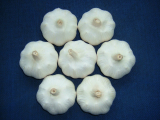 garlic extract