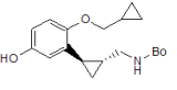 trans-[2-(2-(Cyclopropylmethoxy)-5-hydroxyphenyl)cyclopropylmethyl]carbamic acid tert-butyl ester