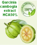 Garcinia Cambogia Extract