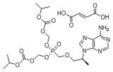 tenofovir disoproxil fumarate