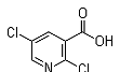 2,5-Dichloronicotinicacid