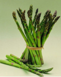 Asparagus cochinchinensis extract