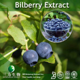 Bilberry Extract