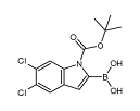 1-Boc-5,6-dichloro-1H-indole-2-boronicacid