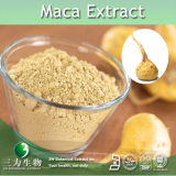 Maca Extract