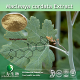 Macleaya cordata Extract