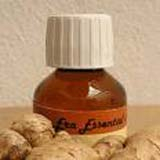 Ginger oil