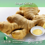 Ginger Extract