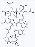 VitaminB12