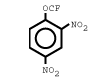 2,4-Dinitro(Trifluoromethoxy)benzene