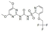 Trifloxysulfuron