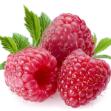 Raspberry Extract 