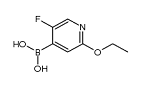 (2-Ethoxy-5-fluoropyridin-4-yl)boronicacid