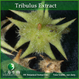 Tribulus Extract 