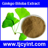 Ginkgo Biloba Extract