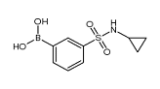 (3-(N-Cyclopropylsulfamoyl)phenyl)boronicacid