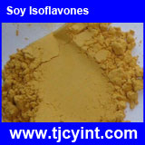 Soy Isoflavones