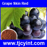 Grape Skin Red