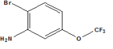 2-Bromo-5-(trifluoromethoxy)aniline