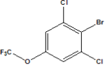 2,6-Dichloro-4-(trifluoromethyloxy)bromobenzene