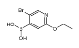 (5-Bromo-2-ethoxypyridin-4-yl)boronicacid