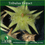 China Tribulus Extract