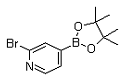 2-Bromopyridine-4-boronicacidpinacolester