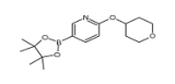 2-(Tetrahydro-pyran-4-yloxy)-5-(4,4,5,5-tetramethyl-[1,3,2]dioxaborolan-2-yl)-pyridine
