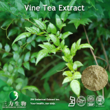 China Vine Tea Extract