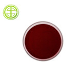 Grape Seed Extract