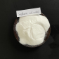 Sodium Silicate