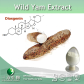 China Wild Yam Extract