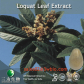 Loquat leaf Extract