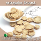 China  Astragalus Extract