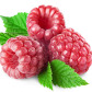 Raspberry Extract Powder