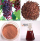 Grape seed extract Polyphenol